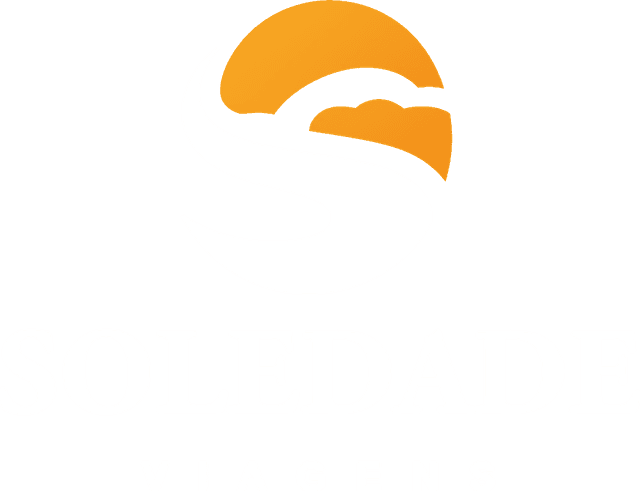 Soledade Viagens